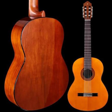 Yamaha C40