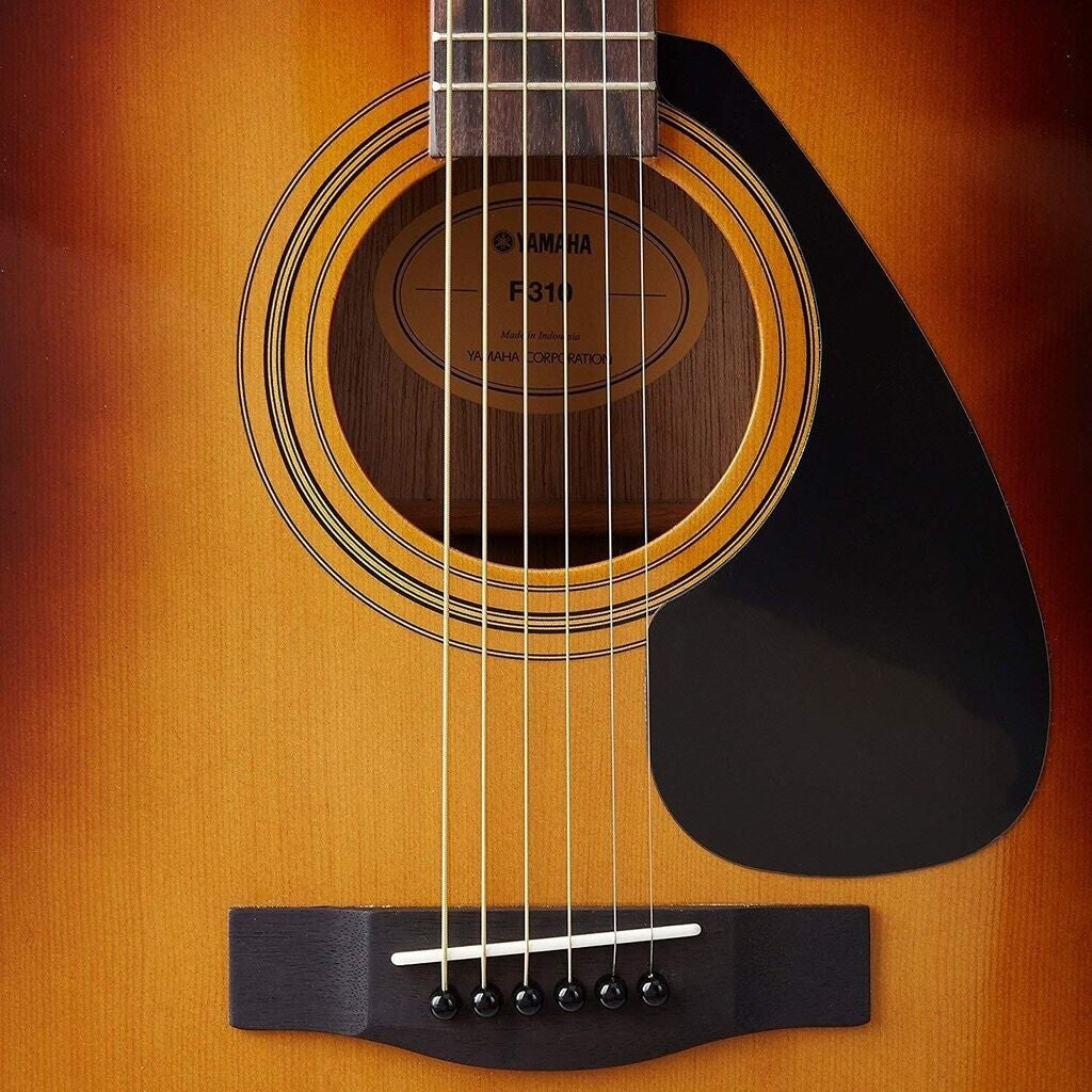 Yamaha F310